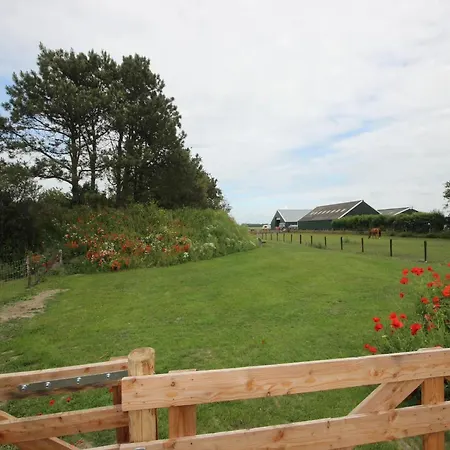 Texel Nature With Sauna *